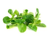 Veldsla: superfood! Veldsla: superfood!
